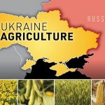 Food Price To Spike Again - Russia Terminates Black Sea Grain Deal, Threatening Global Food Security