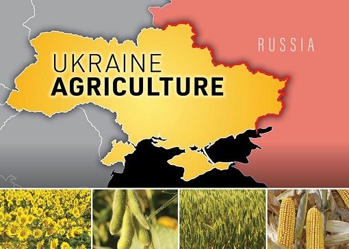 Ukraine Agriculture - Russia Terminates Black Sea Grain Deal