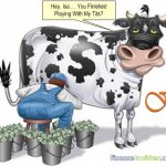 FGVH IPO - What You Should Know Before Investing
