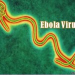 Here're Dumbest & Silliest Tweets About Ebola Money Can Buy