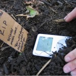 No iPods, Just Cleaning Toilets - Jihadists Wanna Come Home 