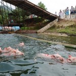 China's Latest Tourism Stunt - Make Money By Showing 