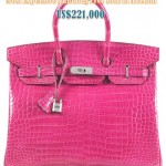 New Record For Hermes Birkin - Proof That Auntie Rosy's A Savvy Investor