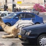 The Glory Days Are Over - OPEC Warlord Saudi Has Started Borrowing
