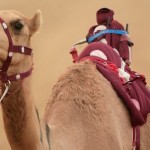 From Sex To Statues: Ultra-Kiasu Muftis Who Have Nothing Better To Do