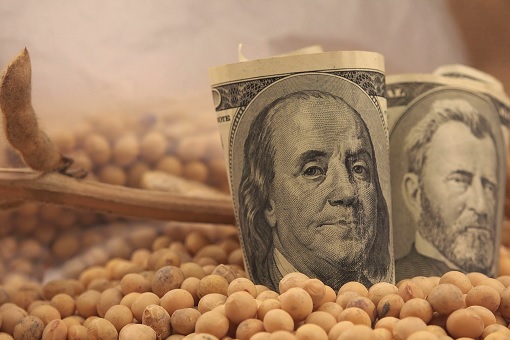 United States Soybean - US Dollar