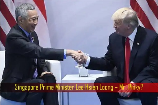 Singapore Prime Minister Lee Hsien Loong with US President Donald Trump – Mr. Pinky