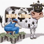 The RM383 Billion Cash Cows - The Hidden Reasons Government Refuses To Abolish Toll Collections