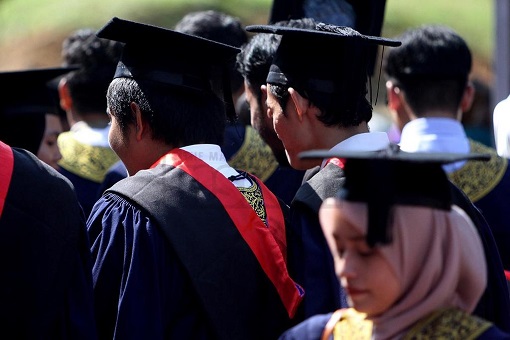 University Graduates - Malay Students
