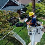 Smart Ways In Finding The Most Competitive Deal For Your Business Energy
