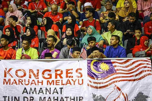 Malay Dignity Congress - MDC - Participants
