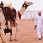 If Coronavirus Outbreak Continues, A Middle East Financial Crisis Could Explode