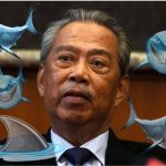 A Dozen Of Sharks In A Small Pond - PM Muhyiddin Has To Constantly Watch His Back For Traitors