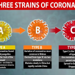 3 Coronavirus Variants Discovered - Surprisingly, 