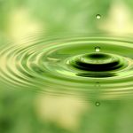 Your Guide To Investing During The COVID Crisis