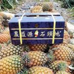 China Suddenly Banned Taiwanese Pineapples - And Taiwan Says The Political Retaliation Is Unfair & Unfriendly
