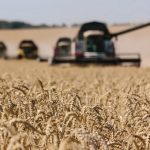 From Wheat To Oil & Gas - How Russia Invasion Of Ukraine Affects Europe's Food Supply, And Even Your Loaf Of Bread