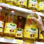 Billions Of Windfall Lost - Clueless & Incompetent Malaysia Govt Fails To Capitalize On Indonesia's Palm Oil Export Ban