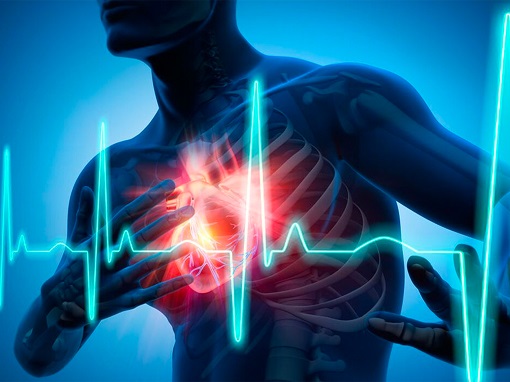 Cardiovascular Disease - Heart BP