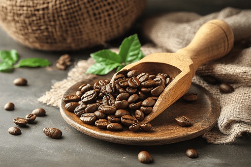 Coffee Bean