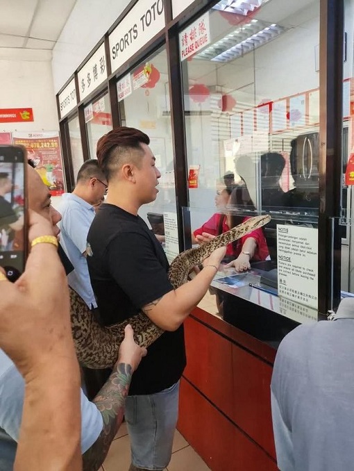 Sports Toto Jackpot RM121 Million - Punter Brought Snake
