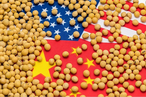 Trade War - China Biggest Importer of US Soybean