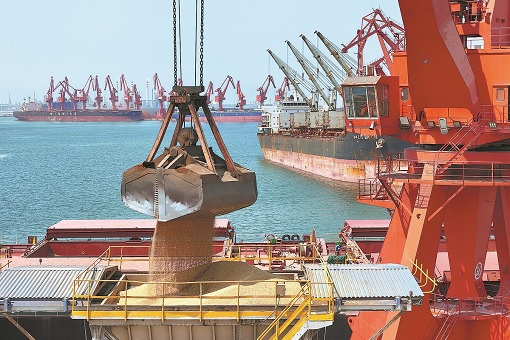 Trade War - Grain Bucket Handles Imported Soybeans in China